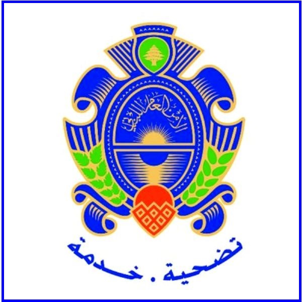 الأمن العام : على السوريين في لبنان تفادي التزوير عند الاستحصال على مستندات ثبوتية