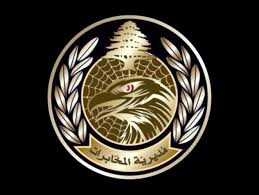 دهم منازل مطلوبين في بعلبك ومصادرة مخدرات وأجهزة لاسلكية