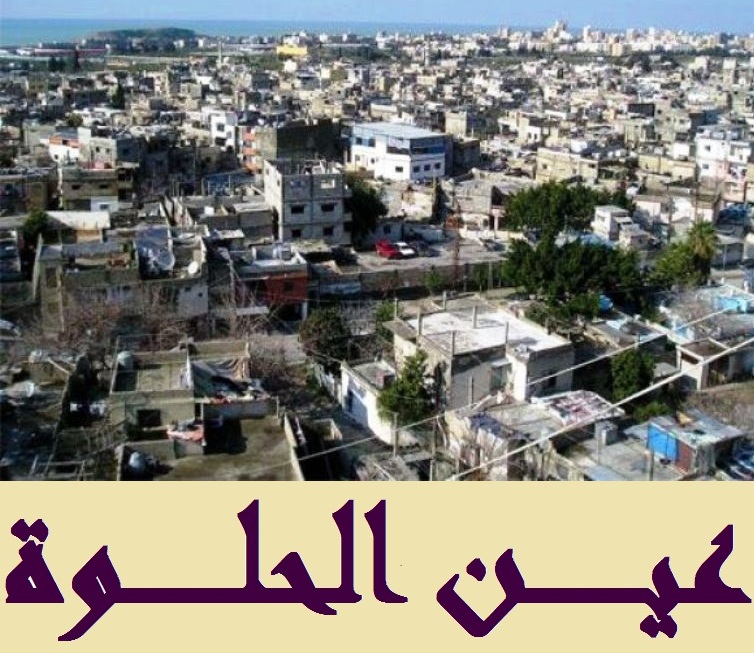 اطلاق نار في اشكال فردي بعين الحلوة