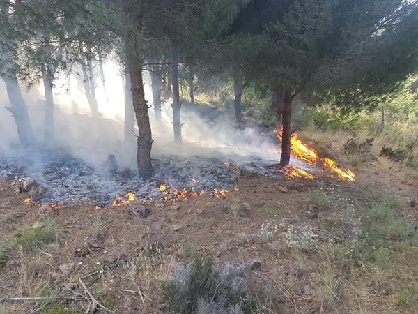 حريق كبير بين عبا وبريقع بسبب ارتفاع حرارة الطقس