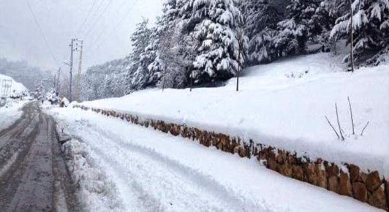 طريق عيناتا الأرز مقطوعة بالثلوج