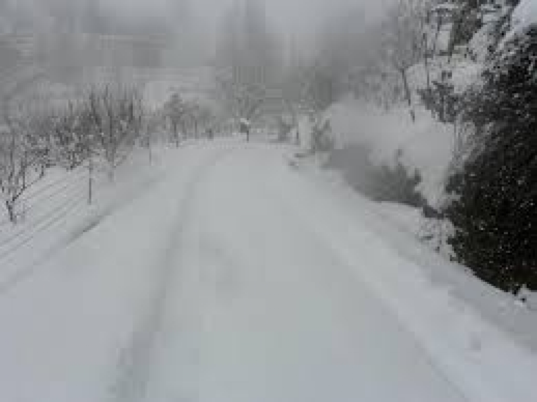 ثلوج على مرتفعات الضنية وطبقة من الجليد غطت طرق الجرد