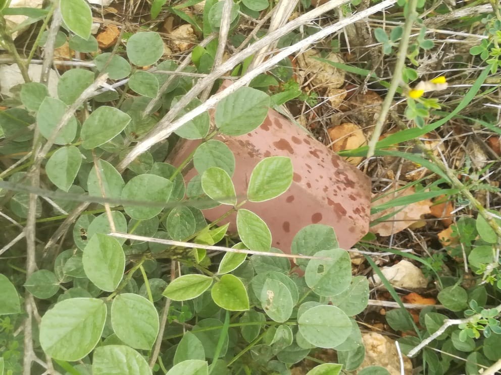 العثور على جسم غريب في خراج بلدة حولا