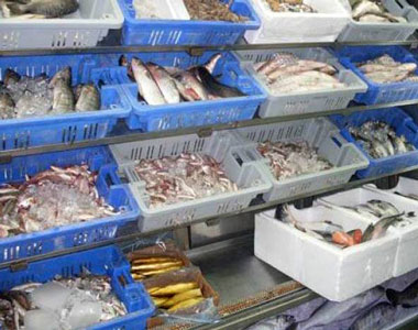 إقفال المزاد العلني في سوق السمك في صيدا