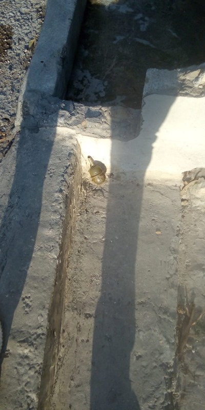 تفجير القنبلة التي عثر عليها في صيدا