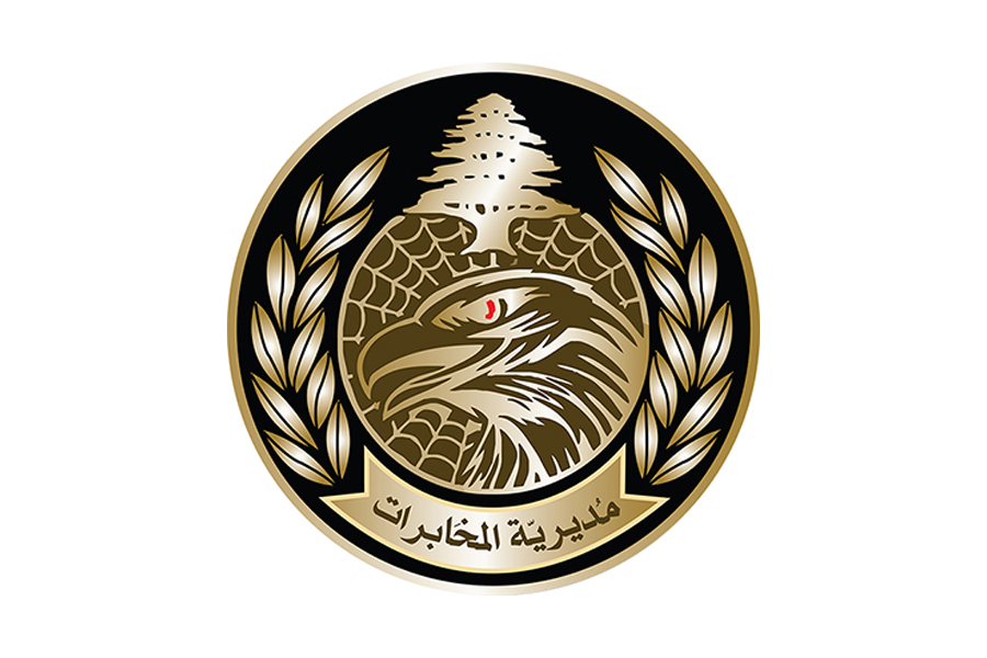 مخابرات الجيش في الجنوب تسلمت قاتل بيرم في عين الحلوة