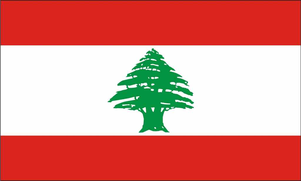 قاسم : المقاومة مستعدة لمعركة طويلة والميدان مواز لمسار المفاوضات.