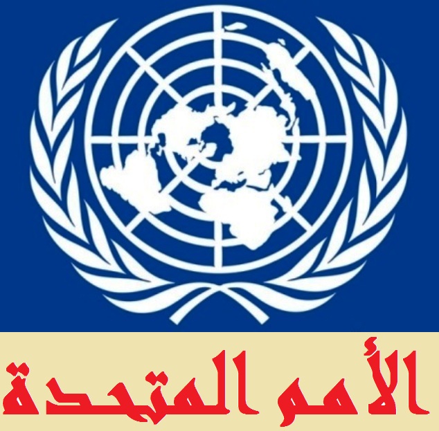 الأمم المتحدة: منظومة الغذاء في قطاع غزة تعاني انهياراً شاملاً