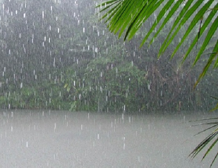 التحكم المروري يحذر السائقين