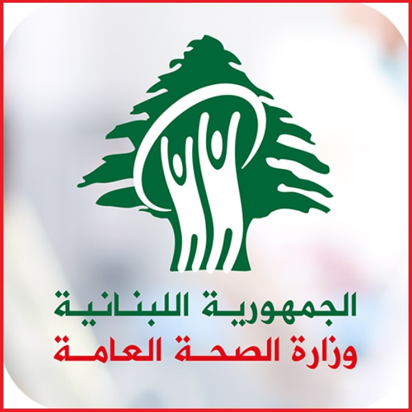 حصيلة أولية للغارات على النبطية : شهيد و ثمانية جرحى