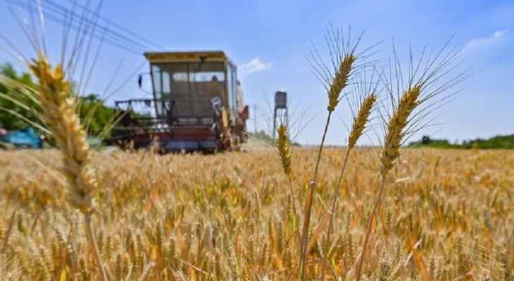 الرئاسة التركية: سيتم التوقيع الجمعة على آلية تصدير الحبوب الأوكرانية بحضور روسي وأوكراني وغوتيريس