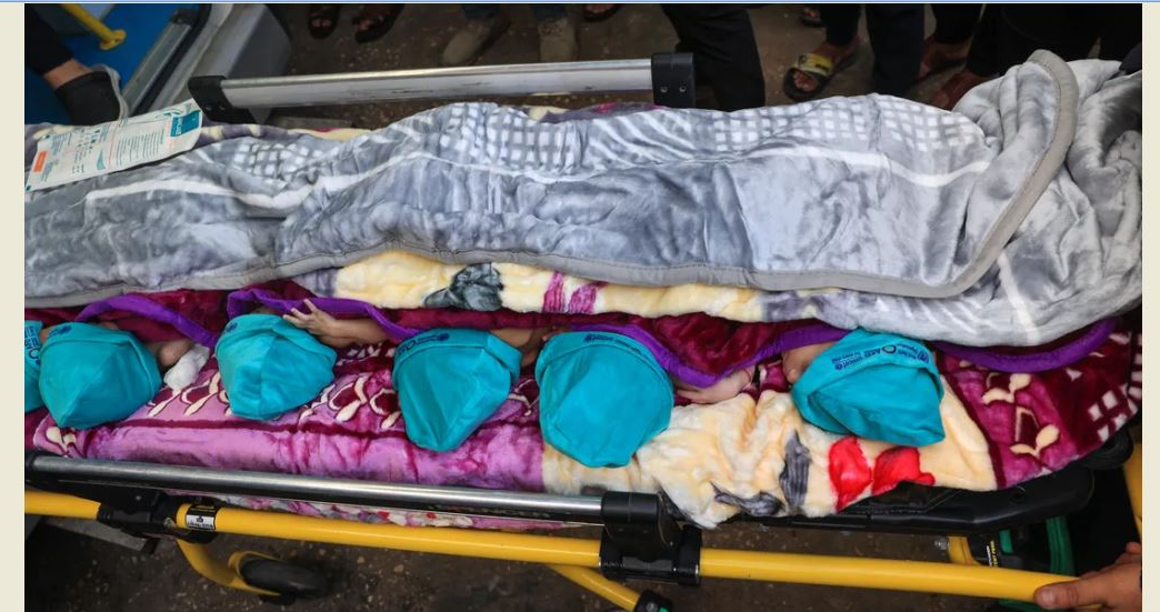 وصول 29 طفلا من الخدج الى مصر بعد إجلائهم من مستشفى الشفاء في غزة