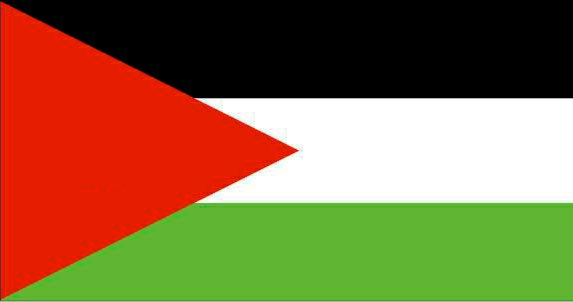 الاحتلال يفرج عن 9 أسرى فلسطينيين من غزة