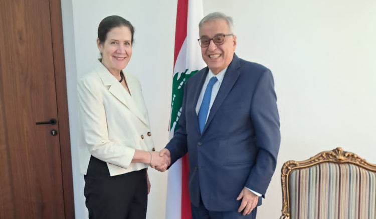 بو حبيب بعد استقباله شيا: وقف الخروق الإسرائيلية المدخل لعدم زعزعة الاستقرار.