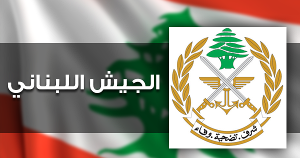 الجيش: تفجير ذخائر غير منفجرة في حقل القليعة