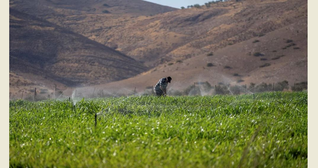 الحكومة الاسرائيلية تعلن مصادرة ثمانية آلاف دونم من الأراضي في غور الأردن