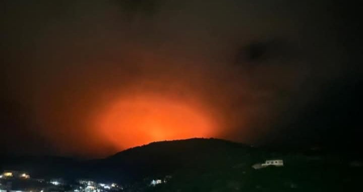 حريق ضخم يلتهم أحراج شدرا.