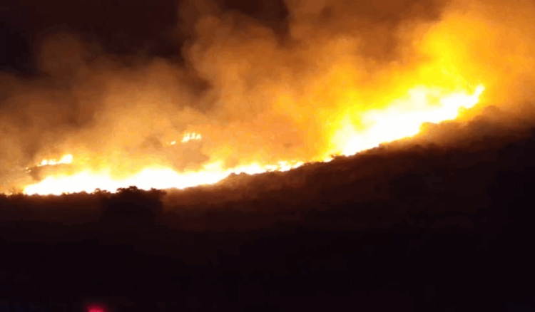 حريق كبير في وادي حلبا.