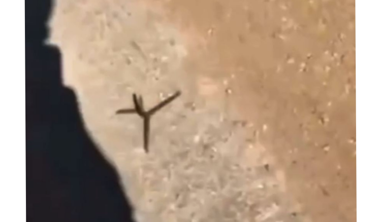 شهيد بالغارة بين تولين وقلاوية.