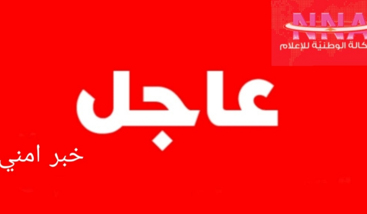 وسائل إعلام إسرائيلية: إصابة مبنيين بشكل مباشر في الشمال