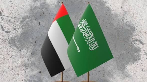 رئيس دولة الإمارات استقبل وزير الدفاع السعودي وتبادلا الرؤى تجاه مستجدات الأحداث التي تشهدها المنطقة